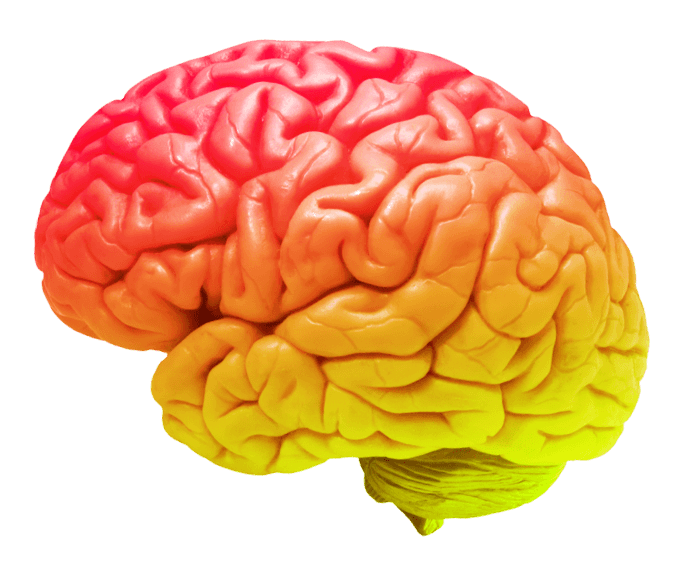 Не понимаете что и зачем делает подрядчик?